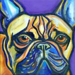 Frenchie